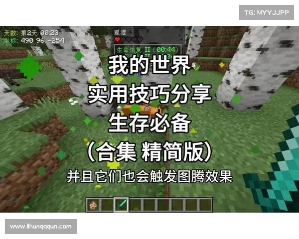 无法玩游戏也能畅玩我的世界的几个实用技巧与方法 无法玩游戏也能畅玩我的世界的几个实用技巧与方法